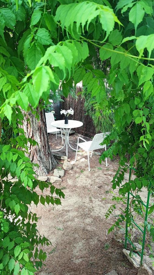 La Parra  Villa Moiko מראה חיצוני תמונה